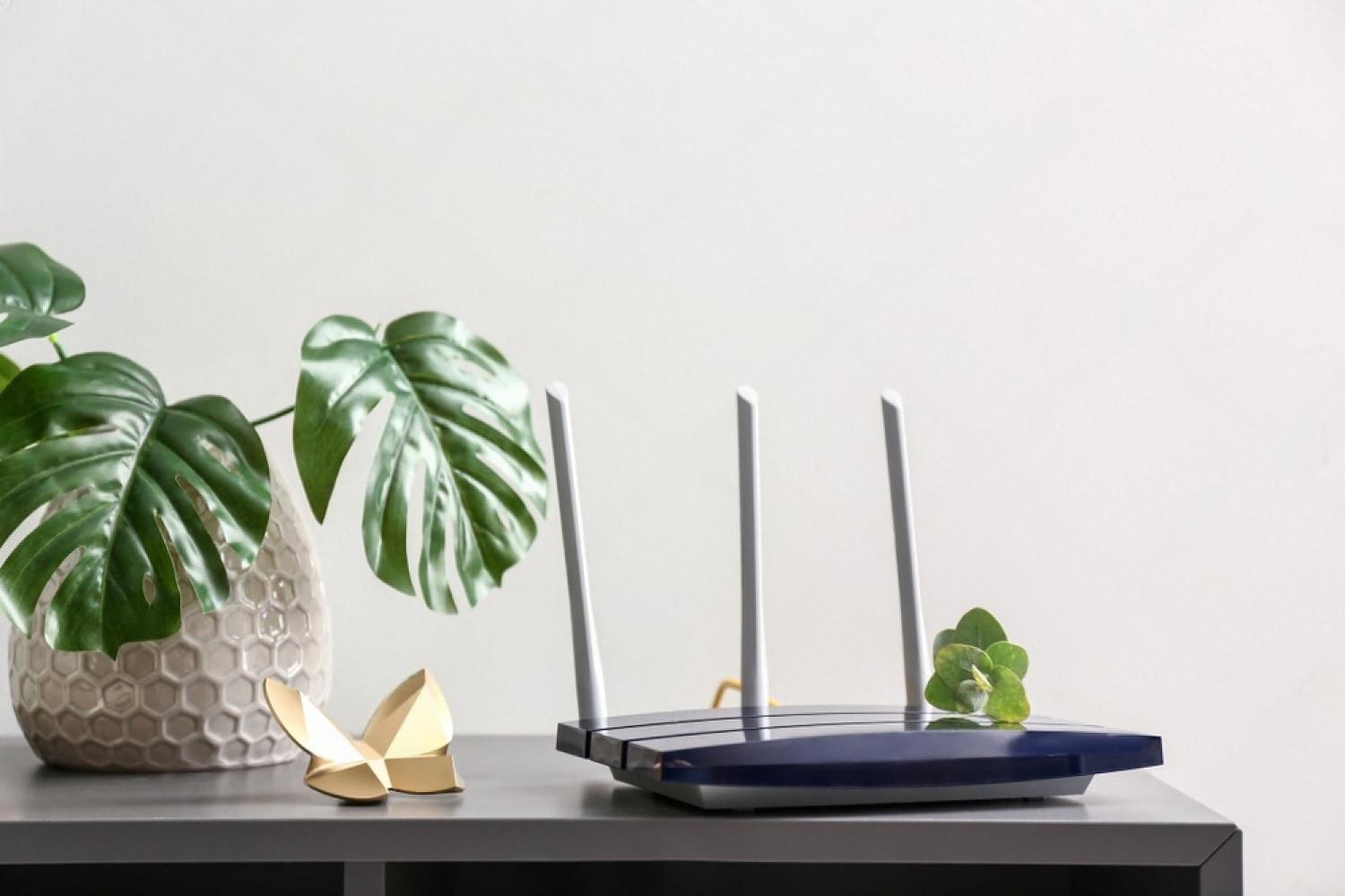 Wi-Fi router on a modern office desk beside a monstera plant, illustrating small business network setup in the UAE